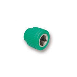 PPR EP MUF F 20x1/2"